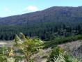/album/sila-in-moto1/verso-lago-arvo-jpg/